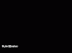 zvi_water