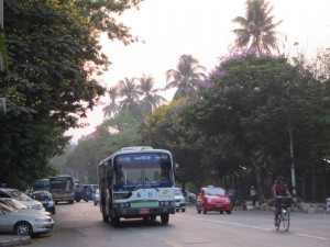 Yangon, urban jungle