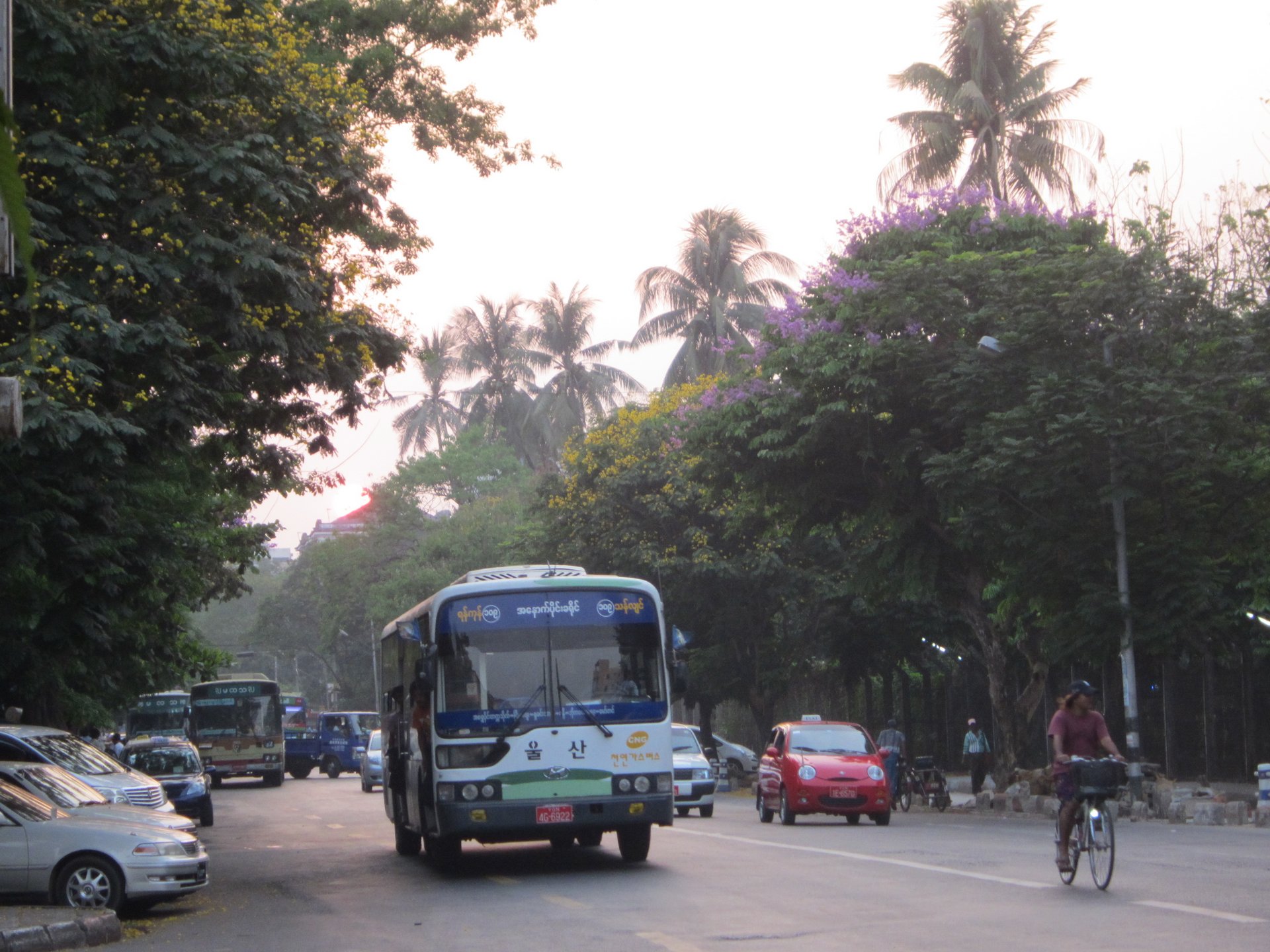 Yangon, urban jungle