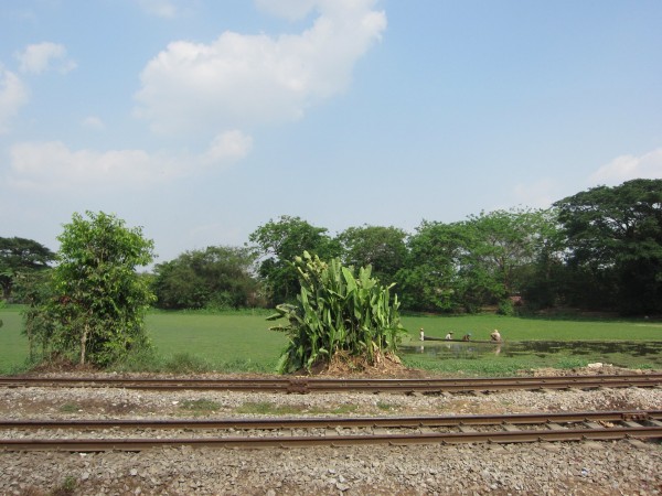 Yangon, urban agriculture