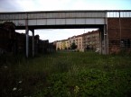 Jammer_2005