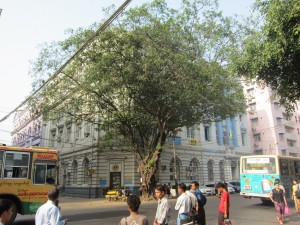 Yangon cultural jungle