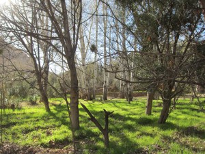 IMG_8005