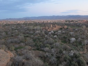 IMG_8899